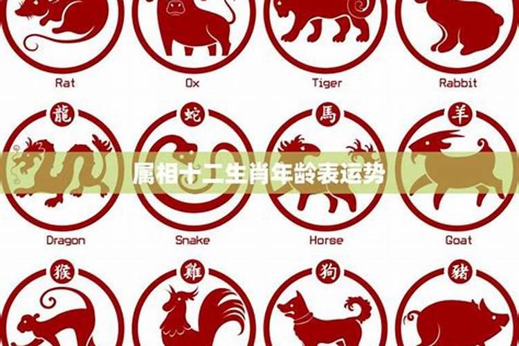怎么确定什么属相最旺
