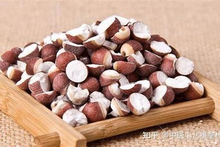 太岁具有哪些作用？(肉灵芝有哪些功效)