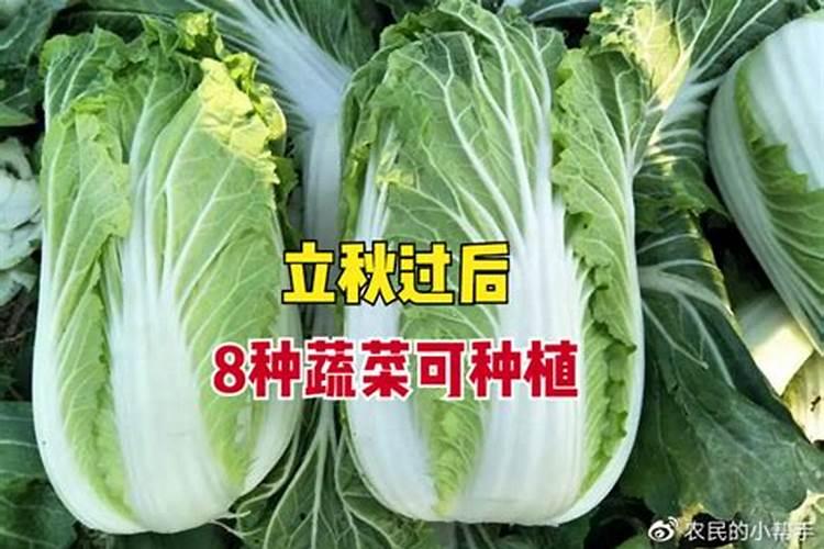 78年9月的马怎么样,78年属马农历九月九日出生的是什么命