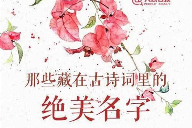 十二生肖是按阳历,我们的属相是根据阳历年算还是根据农历年算？
