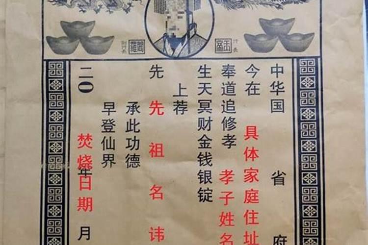 ？梦见猫咪被伤了什么预兆女生做梦梦见猫是什么意思