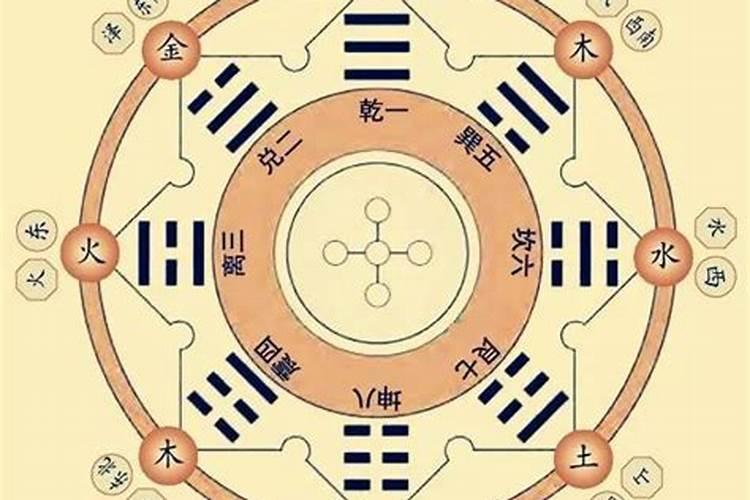 寅木代表什么