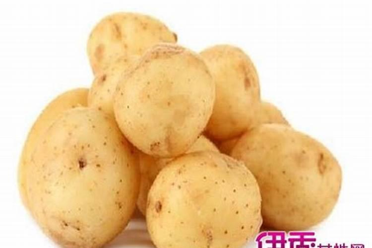 94年属狗人注定的婚姻 94年属狗人正缘什么时候出现