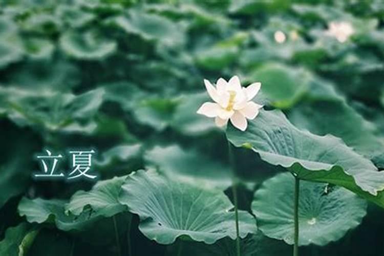 属虎本命年可以戴貔貅吗？