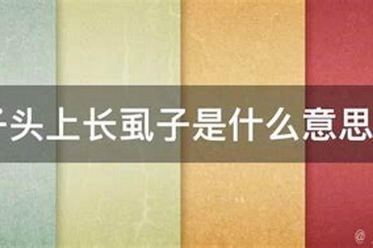 56年猴在2024年每月运程