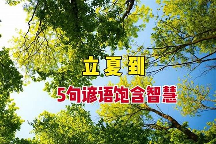 属羊人2025年全年运势详解每月