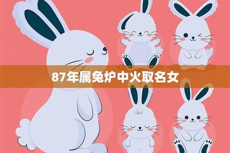85属牛的36岁的运气