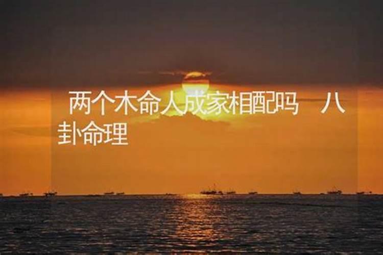 1978年属马的人下半年运程 财运健康解答？