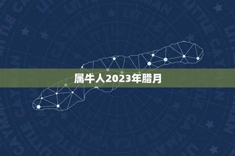 梦见别人夫妻俩打架的预兆
