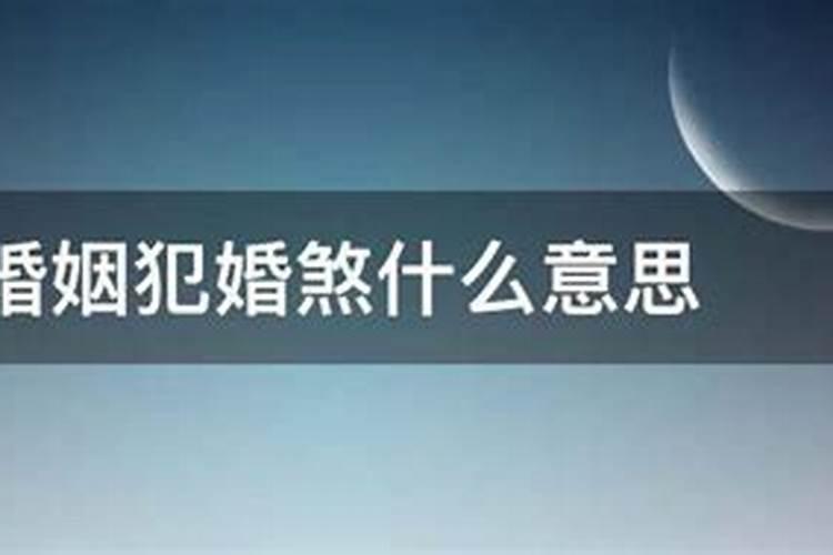 2025年蛇年不宜生子的属相有哪些