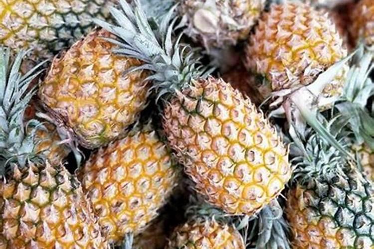 中国春节传统的游戏项目 简述中国春节传统的游戏项目