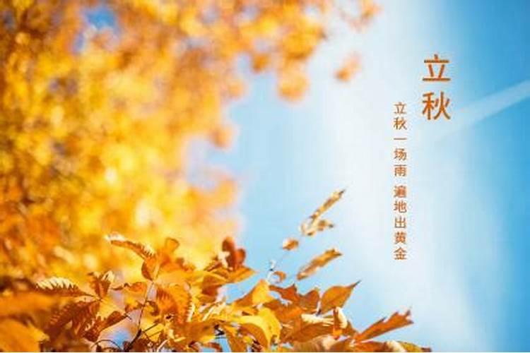 属猪腊月出生命运如何