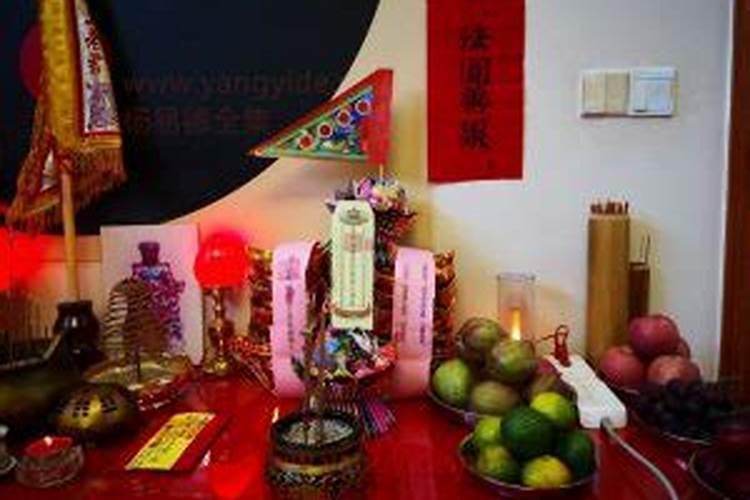 女性做梦梦见小鸡崽