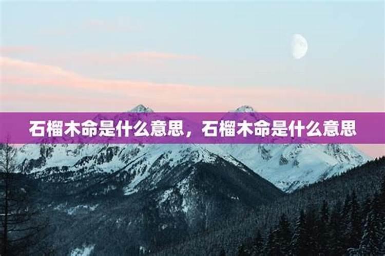 石榴木命是什么意思,石榴木命详解