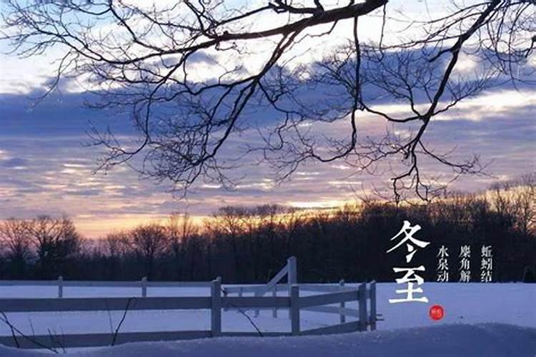 梦见死人头是什么征兆