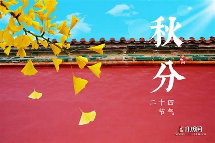 秋分节气有什么风俗秋分节气有哪些风俗