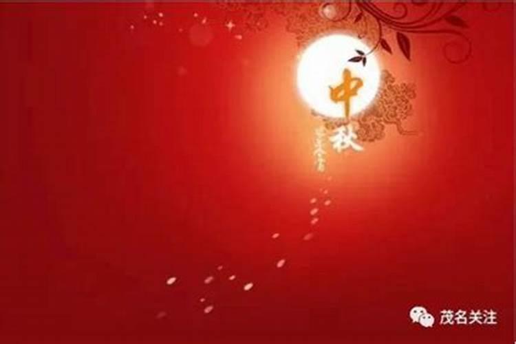 95年属猪男的和什么属相最配1995年属猪男生婚配表