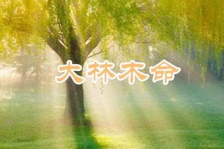 为什么算命的很多是瞎子