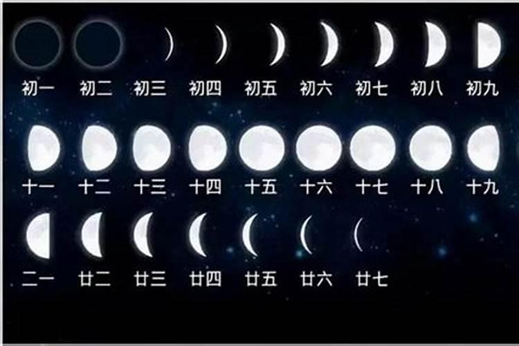 2023二月二龙抬头是农历还是阳历呢