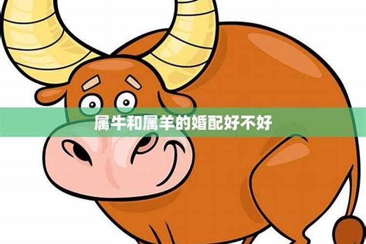 本命年红绳子戴哪只手