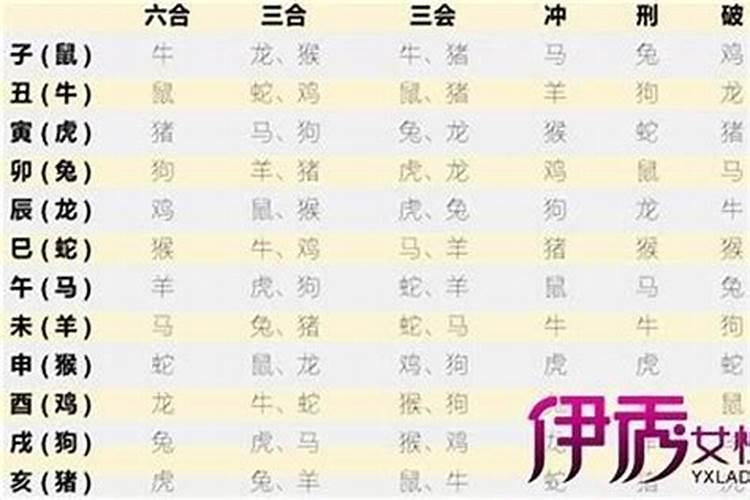 清明节可以去看病人吗 清明节能去看病人吗