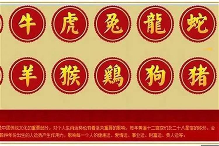 属鸡的运势如何,属鸡二月初二生日一生运势
