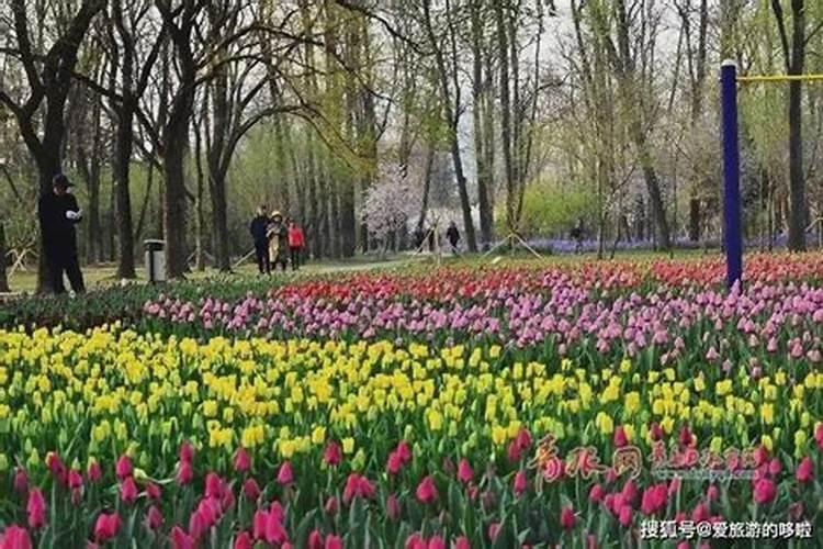 青岛十大适合清明旅游的地方