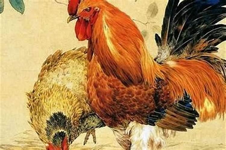 怎么算自己的婚姻宫 分析婚姻宫是什么