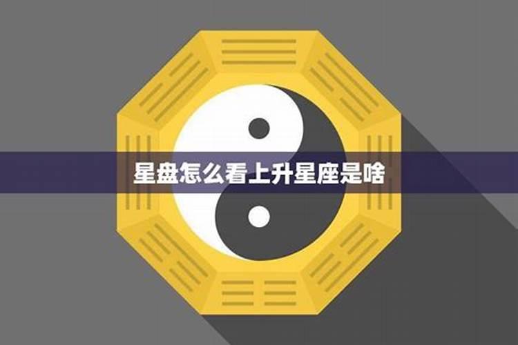 猪狗属相是不是相合