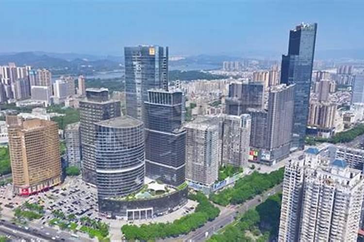 荔枝的主产地、特点、营养成分