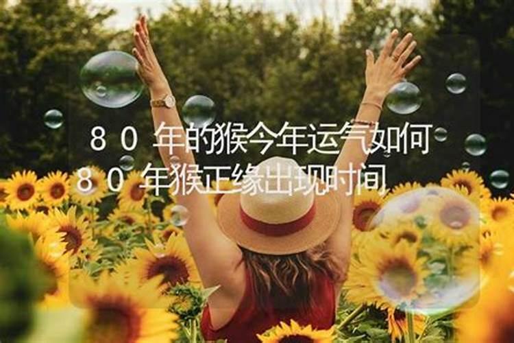 八字合婚男、属虎出生时辰属蛇、 女、属马出生时 ...