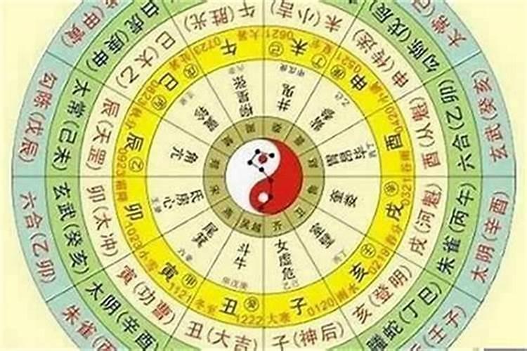 怎么算一生有几个子女,算八字我一生有几个儿女？