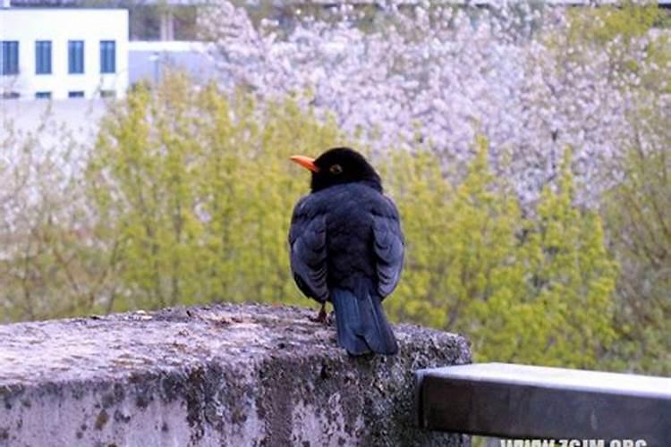 2023年中秋节月亮最圆是几点几分