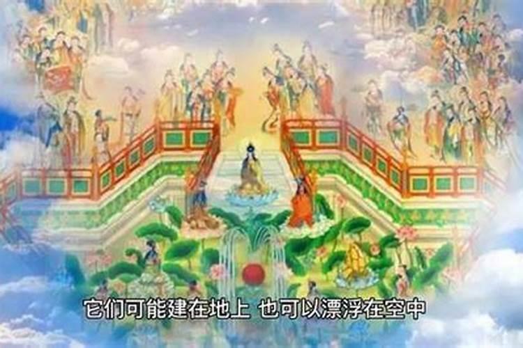 菩萨送的孩子特征