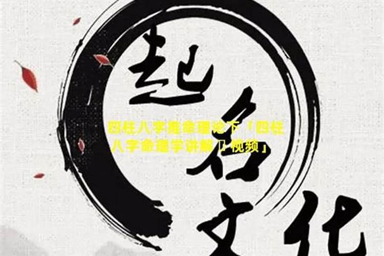 八字怎么看日支