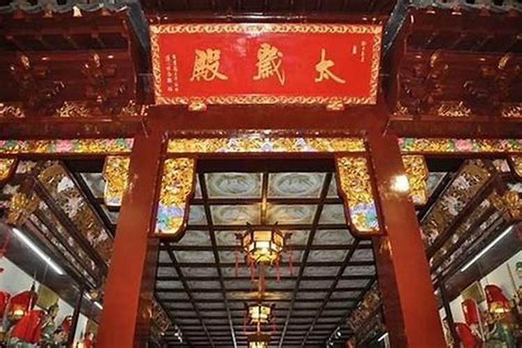 家里养太岁、太岁肉灵芝如何养殖