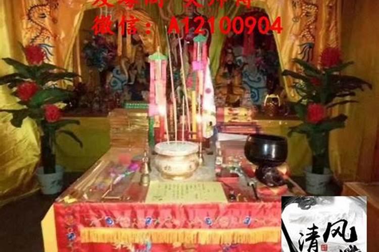 梦见床上有老鼠是什么预兆 梦见床上有老鼠代表什么意思呢