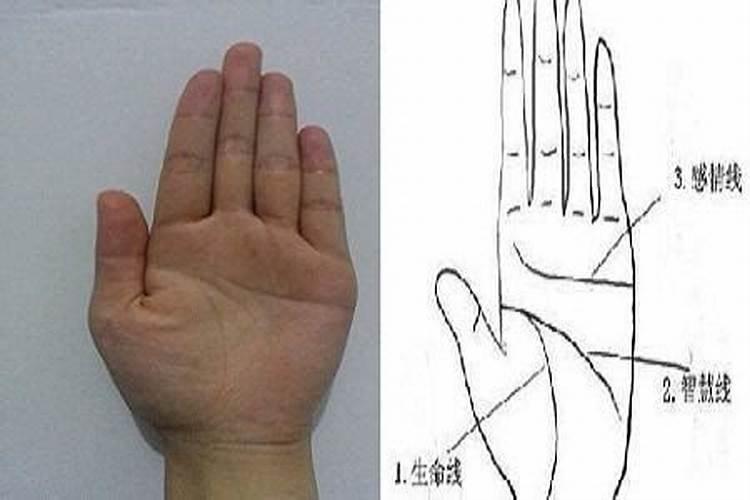 手纹线真的能看出一个人的命吗 手纹看命运到底准不准？