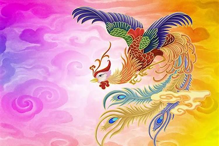属兔人在哪些年份运气好点
