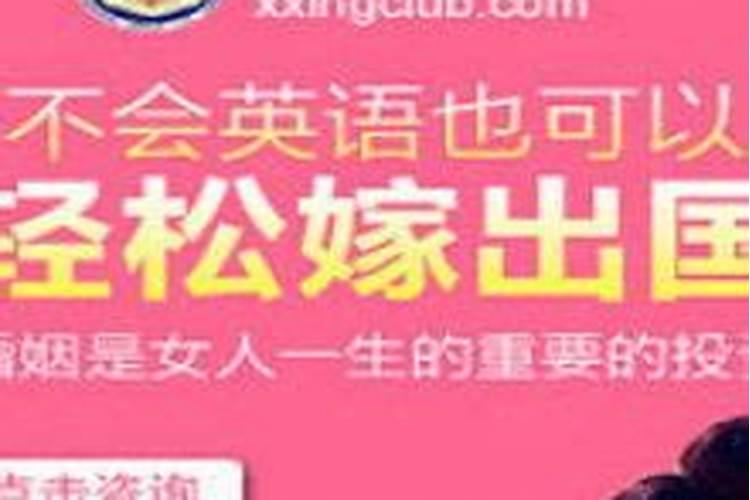 经济代理服务属于什么税目
