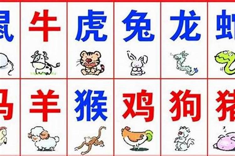 生肖鼠1984年2025年运势如何 生肖鼠1984年2025年全年运势