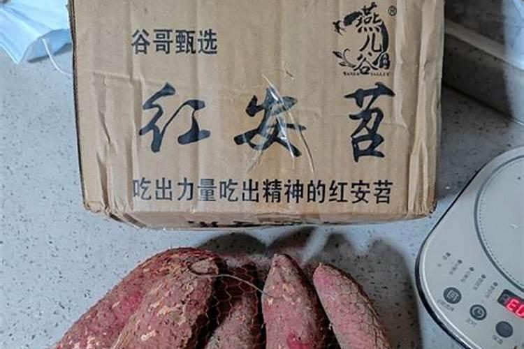 孝感重阳节的习俗是什么