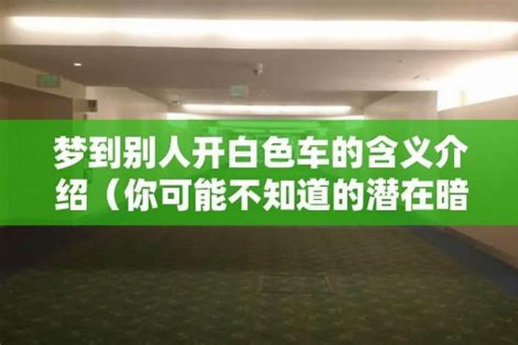 梦见好多老鼠在跑的预兆