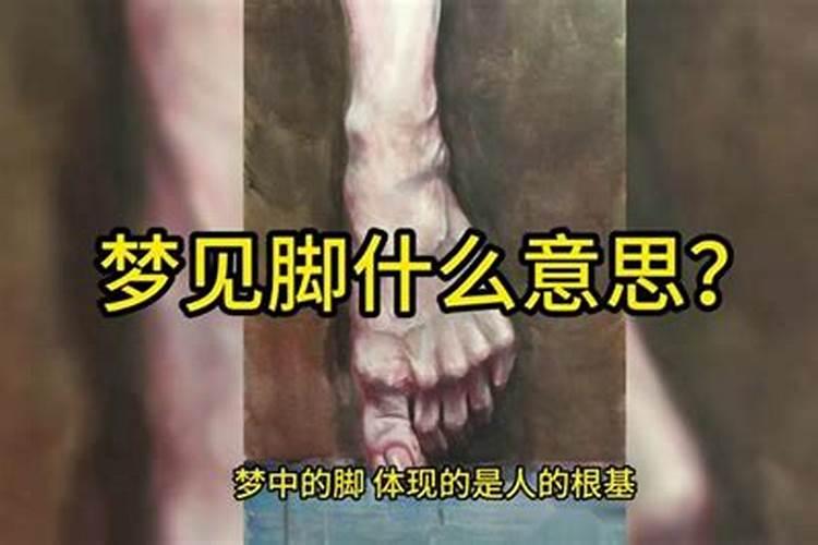属鸡人2025全年运势 属鸡人2025年每月运势