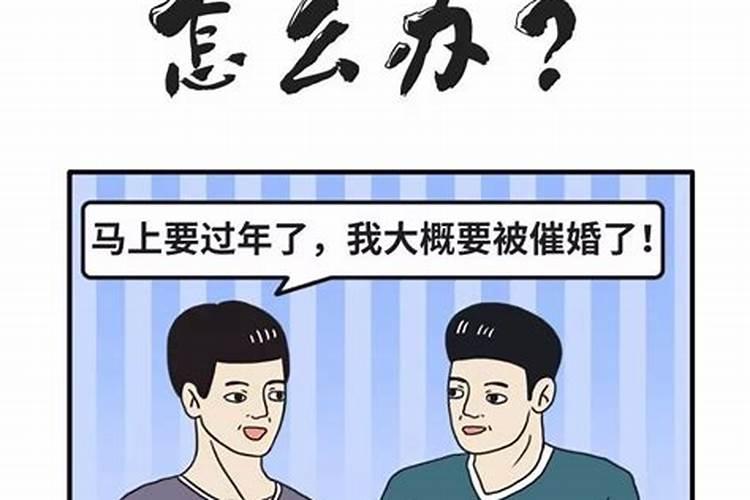 82狗2025年下半年运势