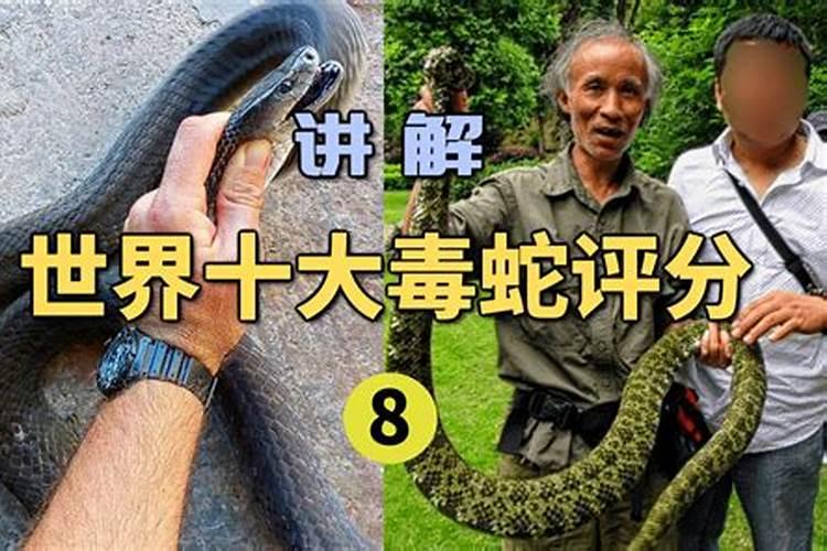 梦见自己被龙咬的预兆
