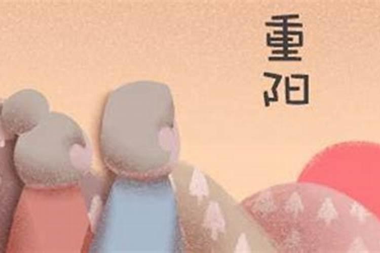 农历九月初九生日,是什么花语