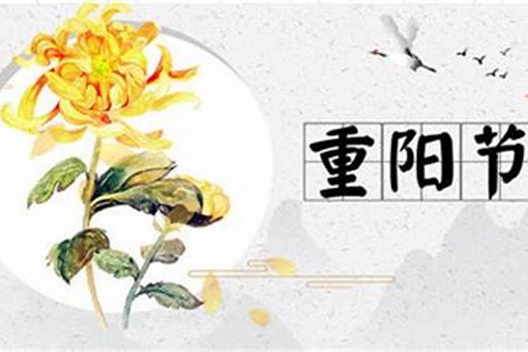 重阳节现在又被称为什么节
