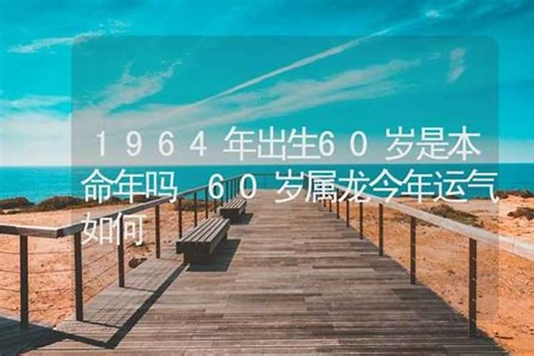 2025年属猪的全年运势