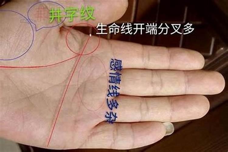 2025年立春是几月几日